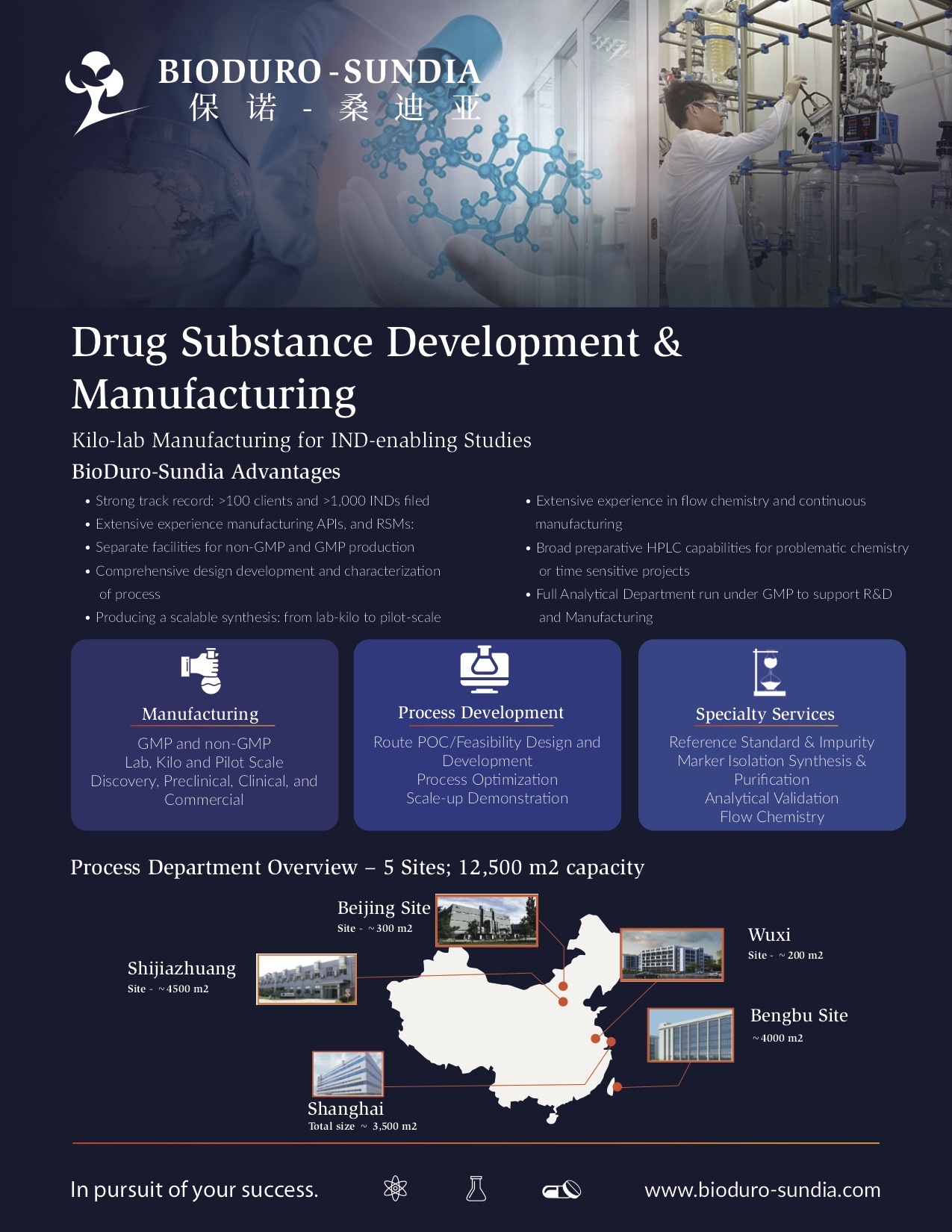 Drug Substance - Development & Manufacturing